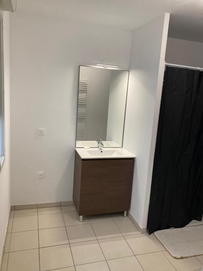 Appartement Meuble トゥールーズ エクステリア 写真